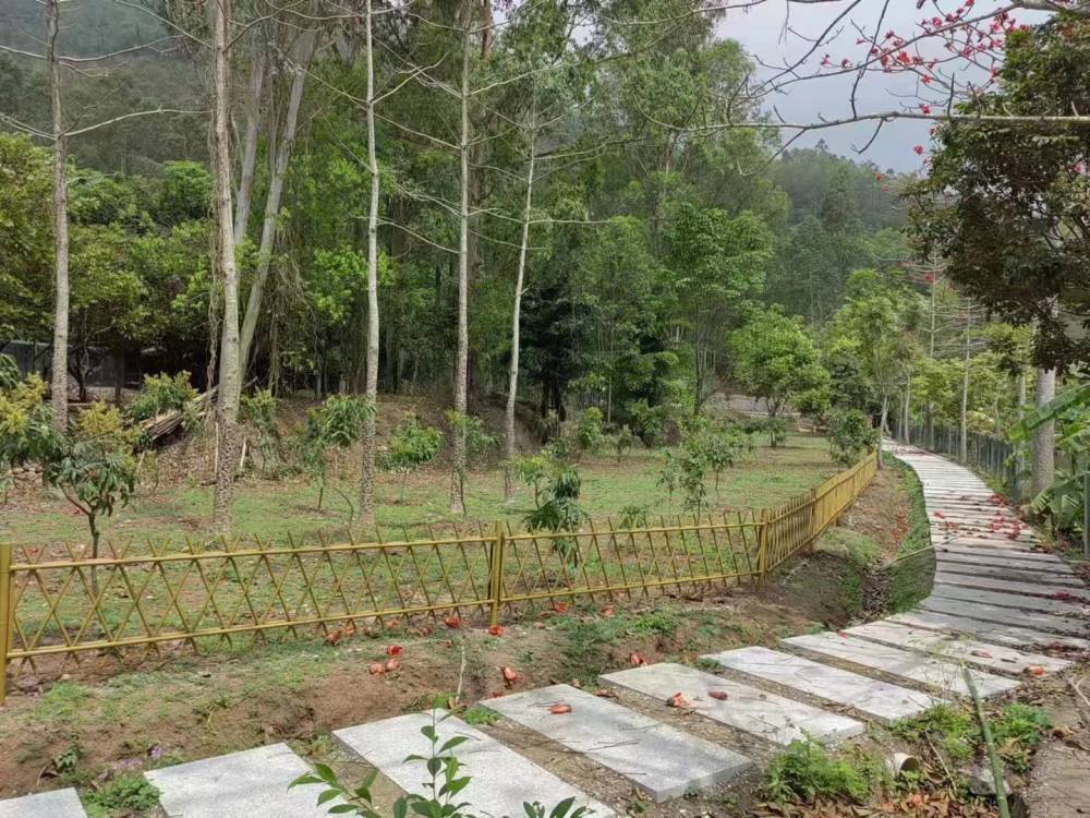 徐州睢宁仿竹栅栏碳化竹子竹篱笆仿竹栅栏