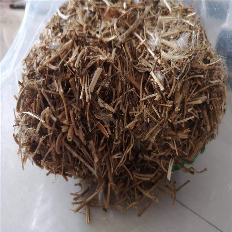 供应催乳藤产地批发催乳藤