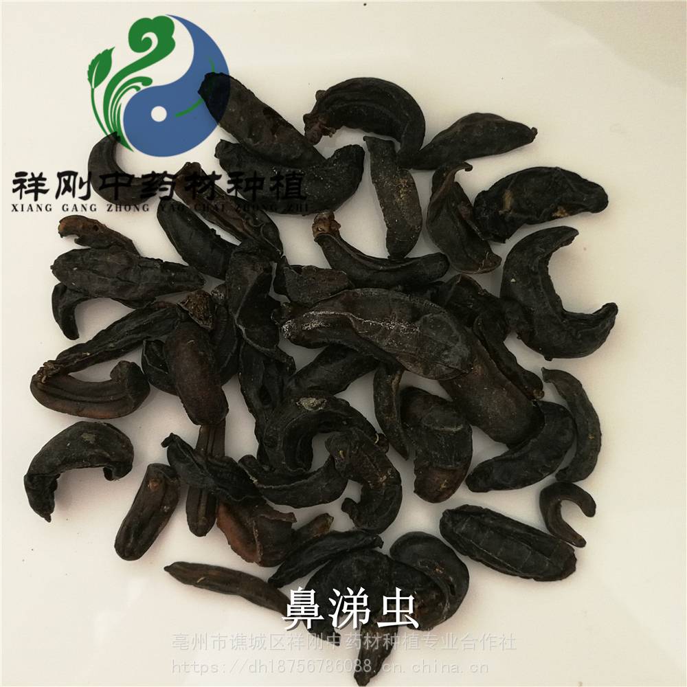 鼻涕虫 中药材鼻涕虫 野生大蛞蝓的***格