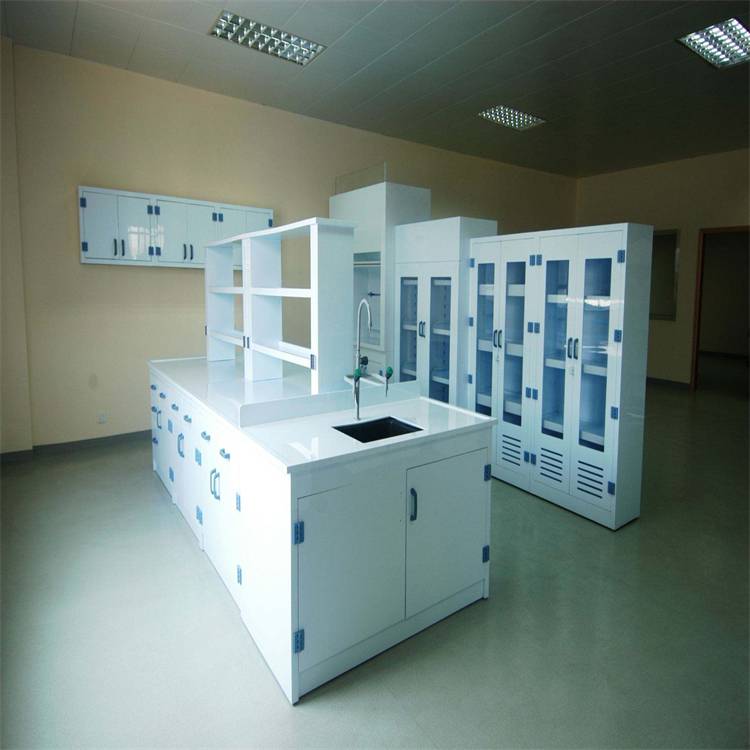 诺尔 加工定制PP实验台 PP药品柜安装 NE-SYT-0586
