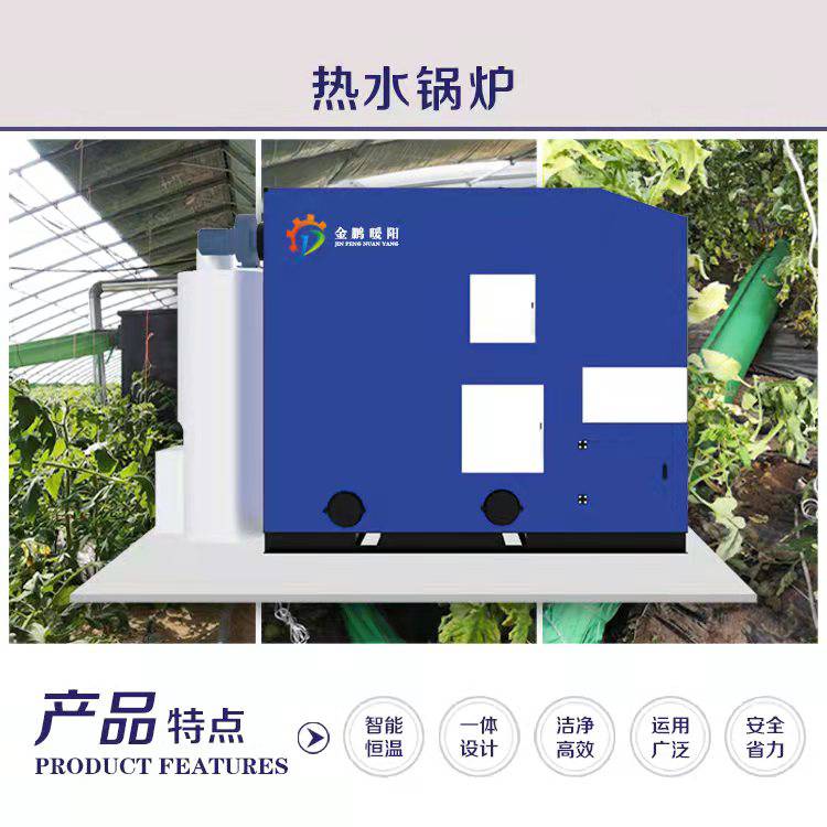 一吨生物颗粒取暖炉 内蒙生物质锅炉 内蒙兰炭取暖炉 地暖挂暖取暖炉