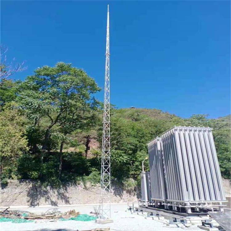 【信丰长期供应 角钢避雷塔,圆钢避雷塔,钢管避雷塔】价格_厂家