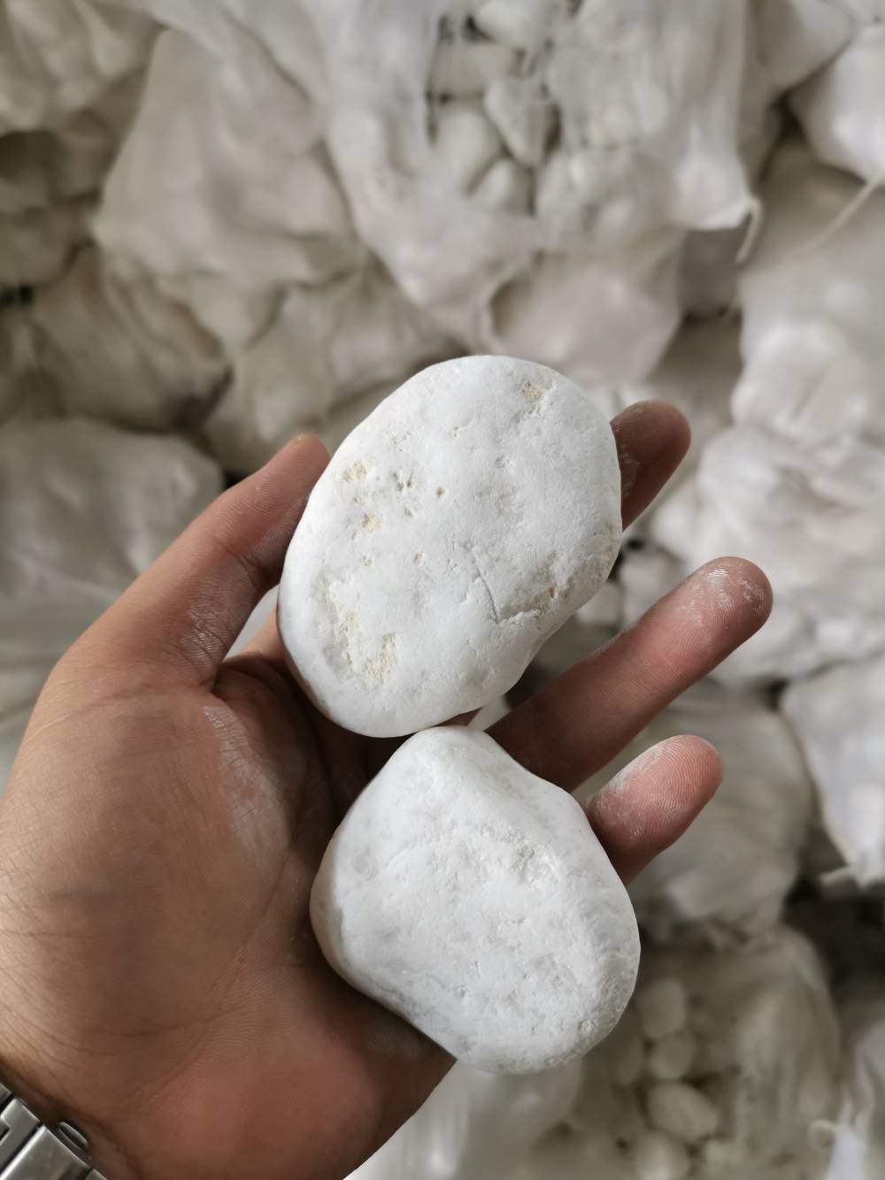 供应磨圆大颗粒白色石子景观园艺白色洗米石白色巨砾磨圆水洗石造景