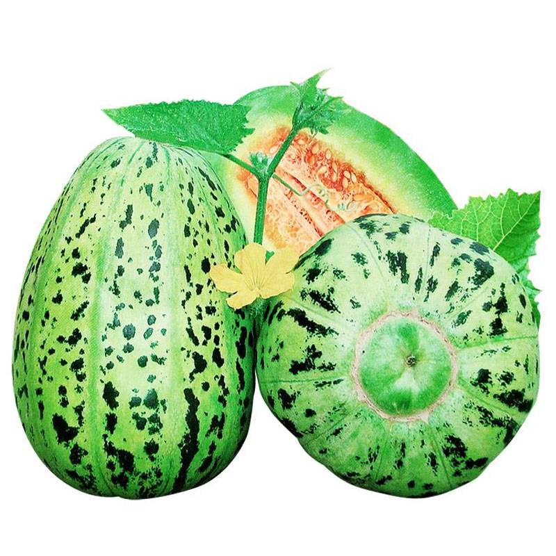 甜瓜种子蛤蟆酥种子花皮甜瓜皮薄肉厚口感香甜大田高产甜种籽