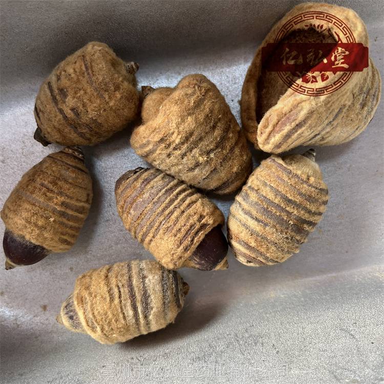 纯野生狗鞭果价格亿弘堂中药材狗鞭果原材料