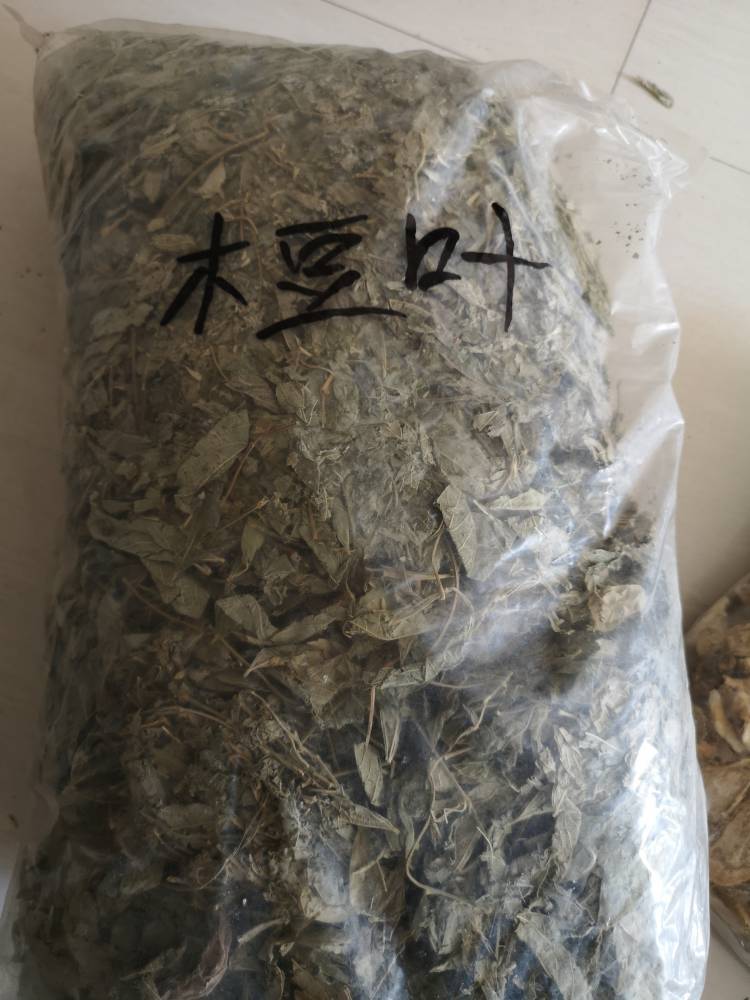 木豆叶药用有什么效果木豆叶市场价格多少钱一公斤