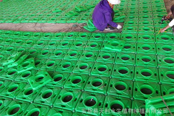 人工浮岛施工方案,人工湖水体绿化,景观人工浮岛