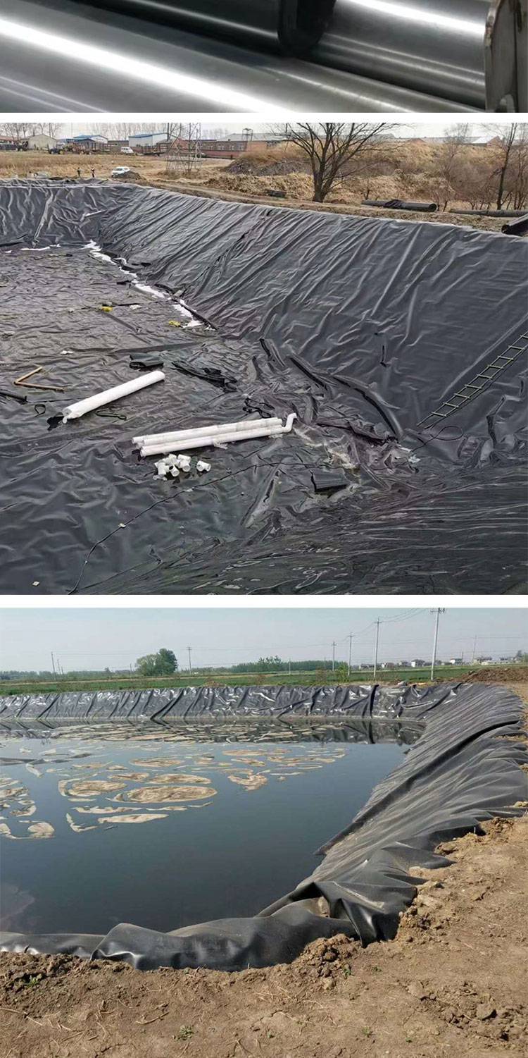 批发土工膜黑色hdpe防水复合鱼塘养殖防渗膜沼气池氧化塘土工膜100g