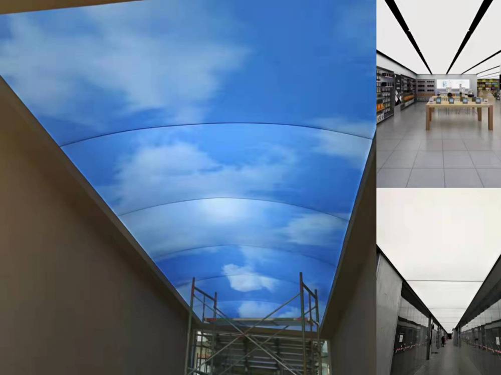 地点：中国政府采购网(西南大学采购与招投标管理中心网（）上下载或至重庆市渝北区财富中心财富汇7楼（重庆市永新咨询有限公司）