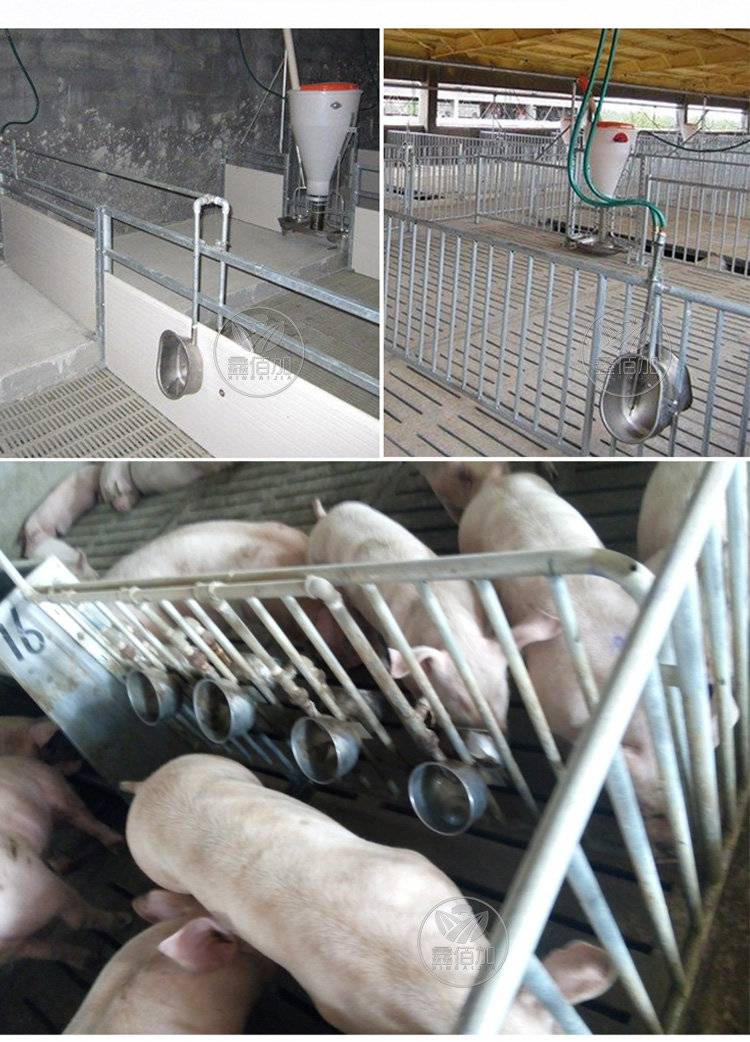 猪用饮水碗 加厚自动饮水器不锈钢喂猪圆形水碗 喝水保育猪饮水碗