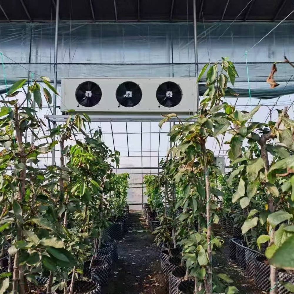 体育中心48匹中央空调安装