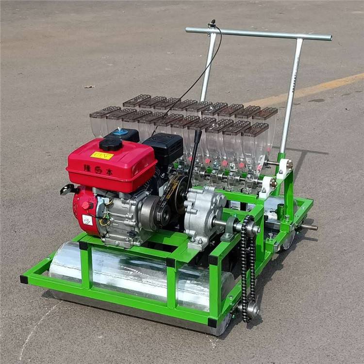 白菜大头菜播种机药材蔬菜点播机农用播种撒肥机