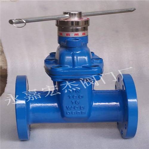 长期生产 fdz41h-10c 铸钢法兰防盗闸阀 fdz41h 钥匙/密码防盗闸阀