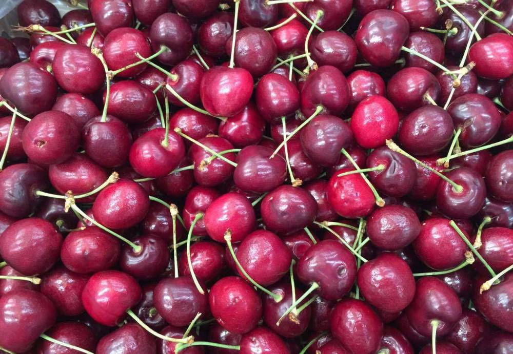 伟德bv1946官网-果实颜色形成的机理了解这些让您明白为什么果子总是转色不好