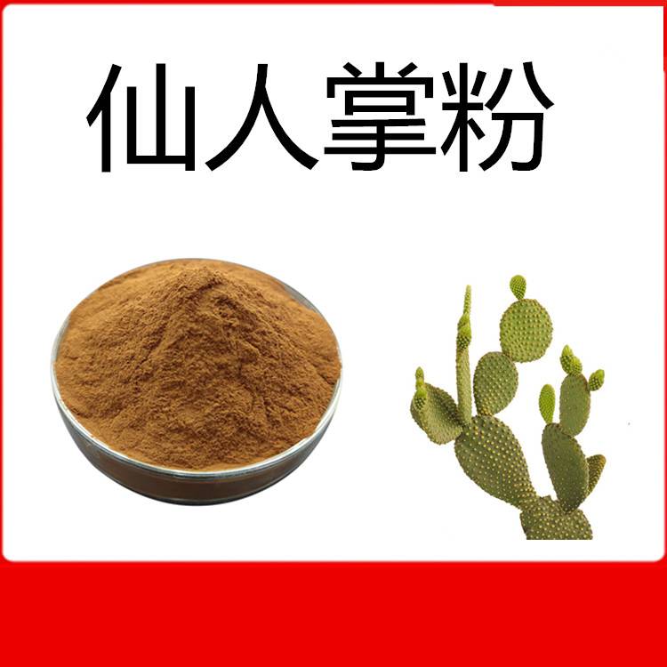 仙人掌粉斯诺特生物质量稳定食品压片糖果原料