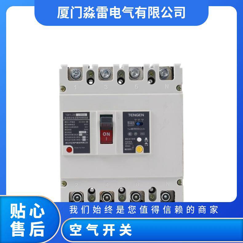 天正电气TGM1塑壳断路器小型短路器空气开关3P4P三相160A200A250A