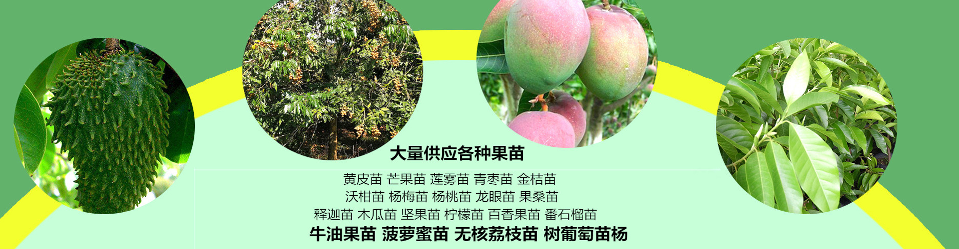 ɽ糡
