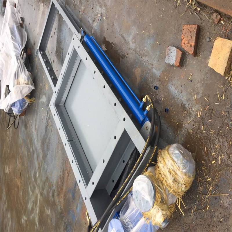 闸门dylv06闸门产品介绍全密封液动闸门