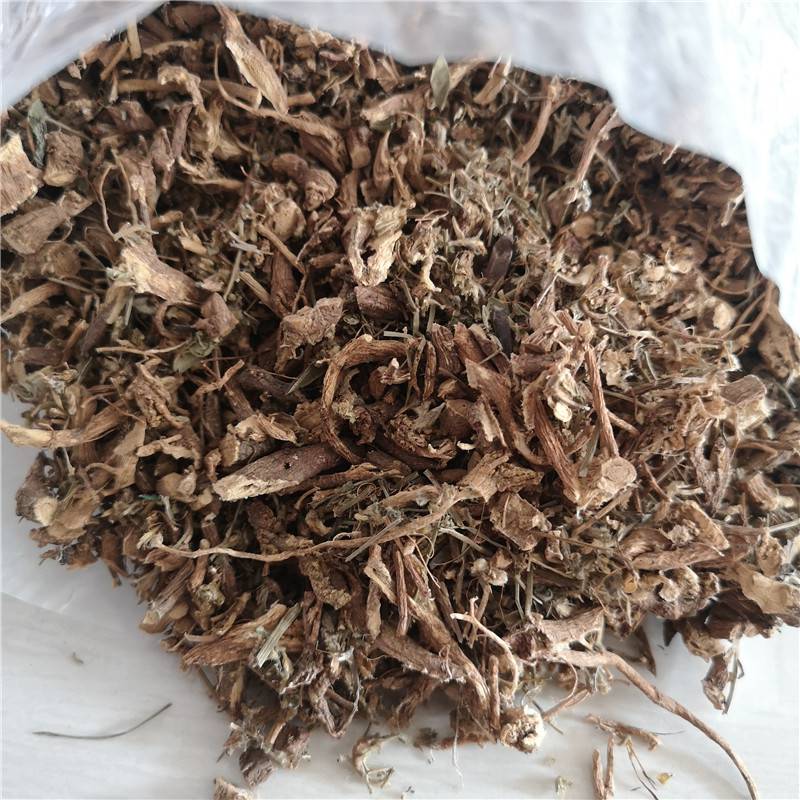 中药材猫耳朵草价格供应猫耳朵草猫耳朵草