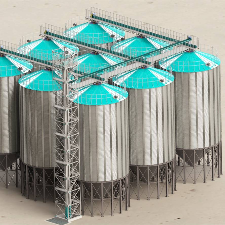 探寻“从化香米”的成长暗码