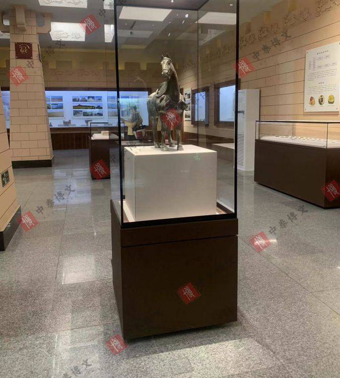 博物馆玻璃展览柜 烤漆工艺尺馆适用 单面展示 厂家定制 中泰博文