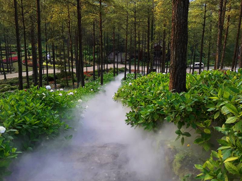 餐厅高压雾森造景设备安装喷雾降温系统制作厂家