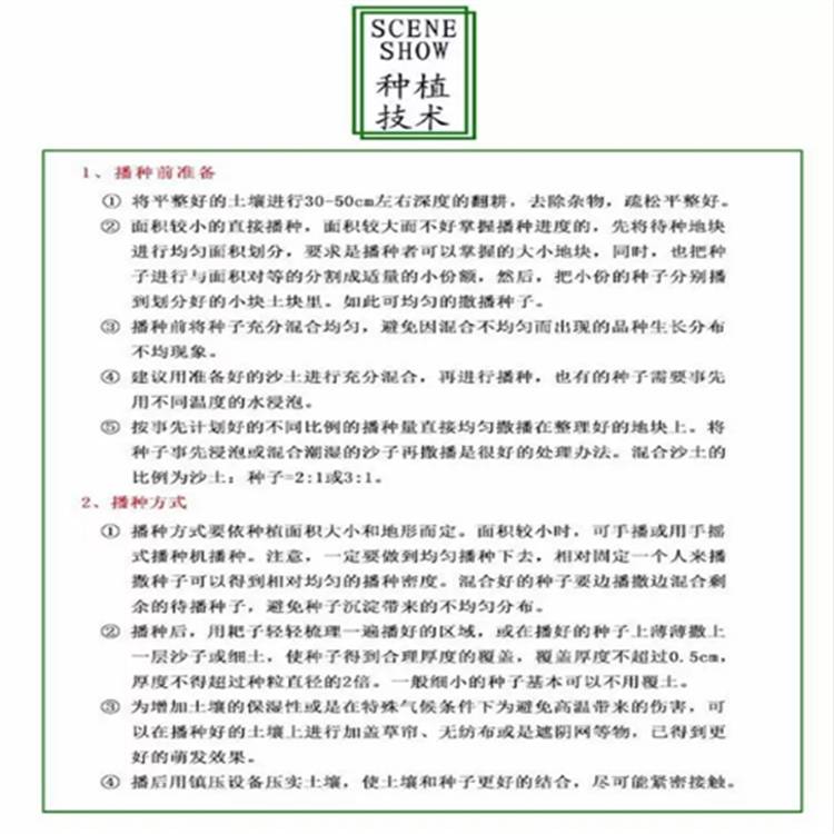 周边常青草种草籽销售批发护坡草坪种草种籽