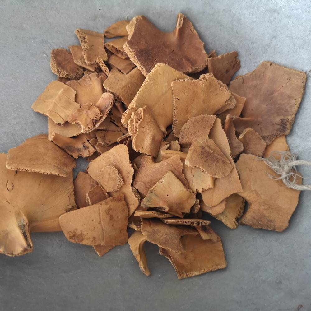 制龟板中药材制龟板价格供应正宗制龟板