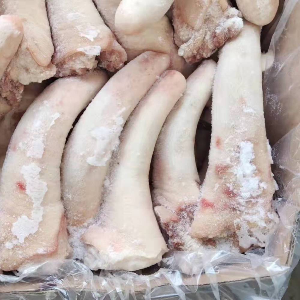 新鲜猪长尾巴短尾巴散养生猪尾巴去毛整根冷冻猪尾巴农家散养
