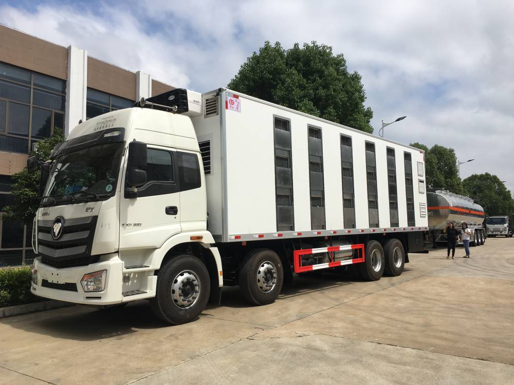 泉州国六活禽运输车猪苗运输车车到付款服务