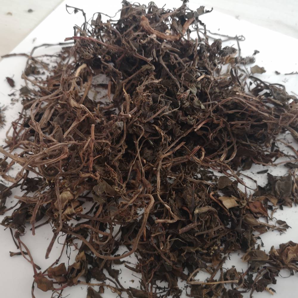 中药材酢浆草酸浆草三叶酸一斤批发