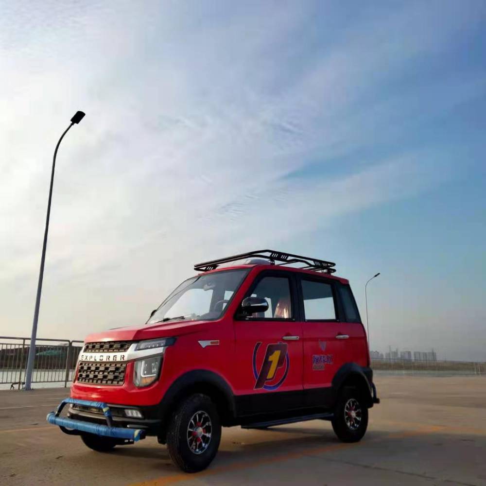 成人油电两用电动车越野女性家用电动汽车迷你女性家用电瓶车