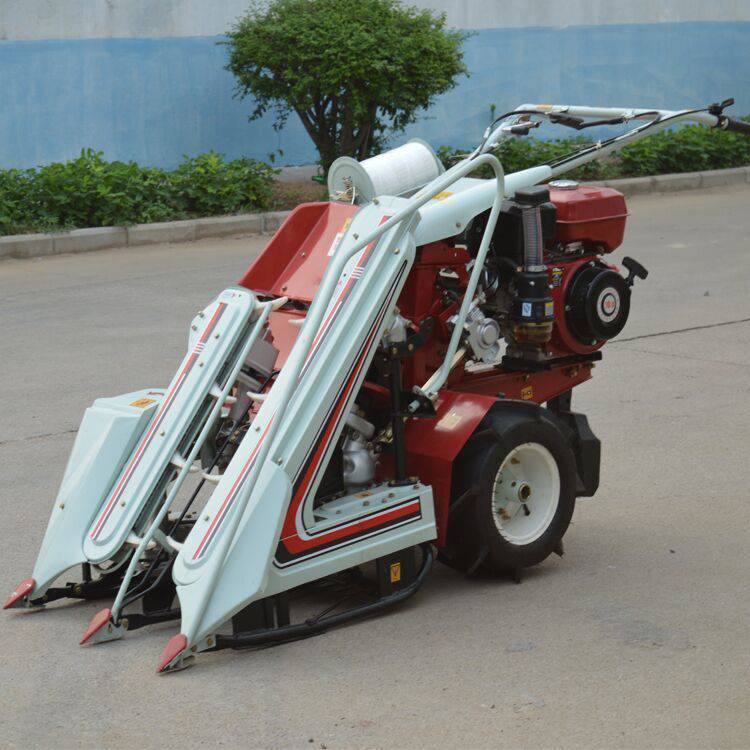 玉米芦苇收割机报价白银多功能玉米割晒打捆一体机牧草收割打捆机双联