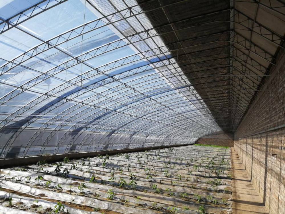 北方地区日光温室大棚经济适用