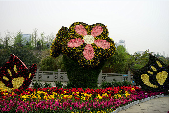 甘肃兰州菊花展造型绿雕五色草绿雕定制