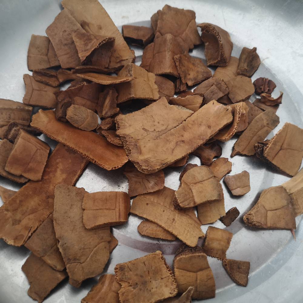 炙龟板多少钱一斤炙龟板的功效