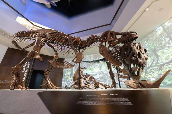 Sheikh Khaled bin Mohamed bin Zayed Al Nahyan殿下为萨迪亚特文化区阿布扎比自然历史博物馆揭幕