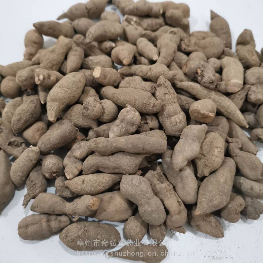 石老鼠价格石老鼠哪里买得到