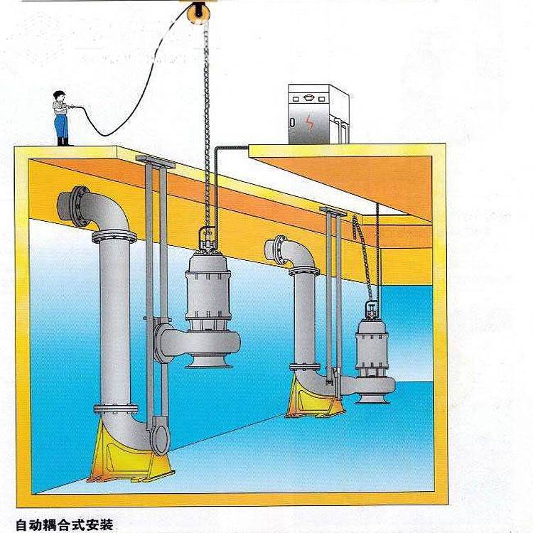 混流泵安装示意图图片