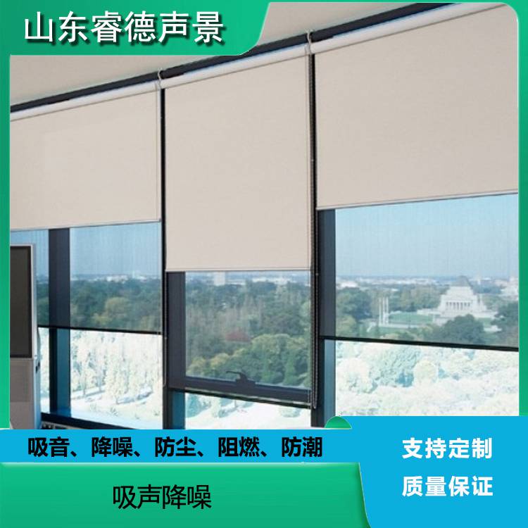 rayde 吸音卷帘布 教育机构培训室学校会议室噪音降噪专用吸声帘幕