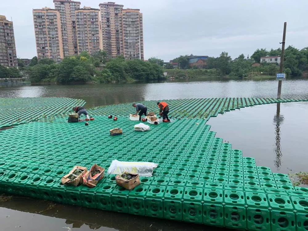河道景观生态浮岛置景公园水生植物生态浮床组装施工