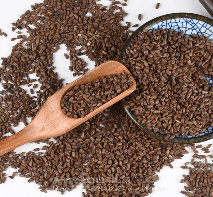 野生列明子批发价格决明子的功效