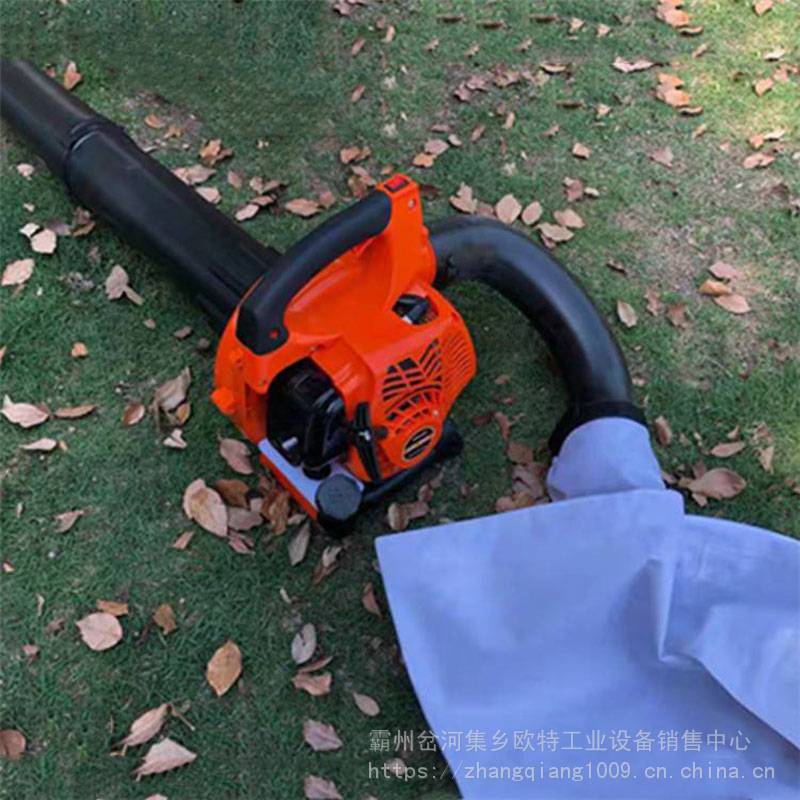 天鹅股份涨084%成交额289701万元近5日主力净流入-32003万