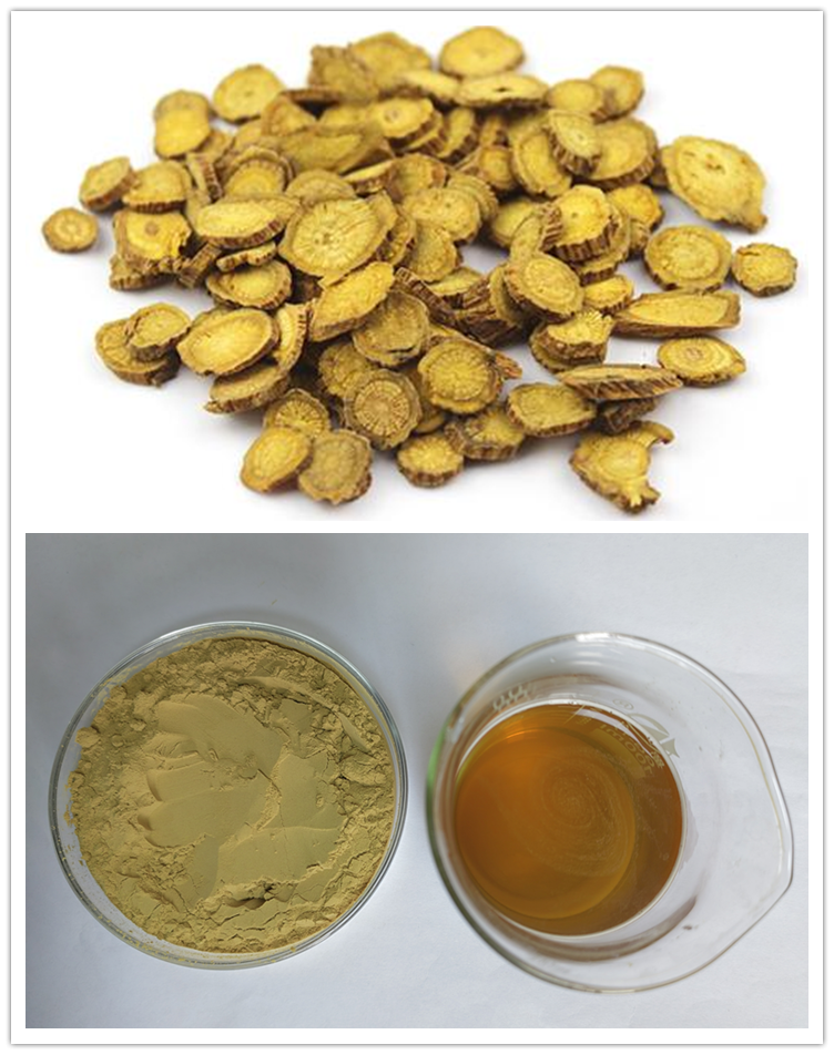 黄芩提取物 棕黄色精细粉末 也可定制生产 喷雾干燥工艺