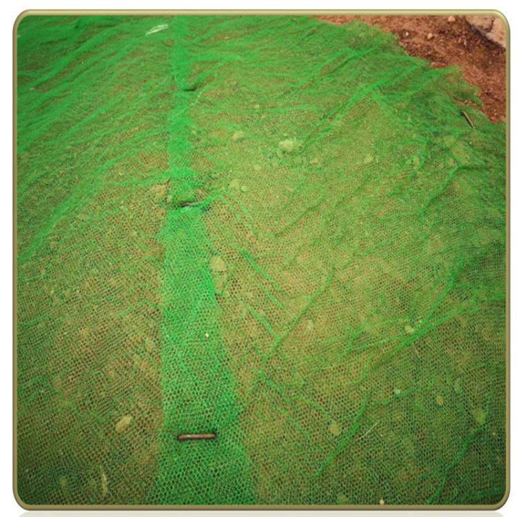 拓林护坡绿色喷浆网土坡固土绿化三维网垫em5层植草网