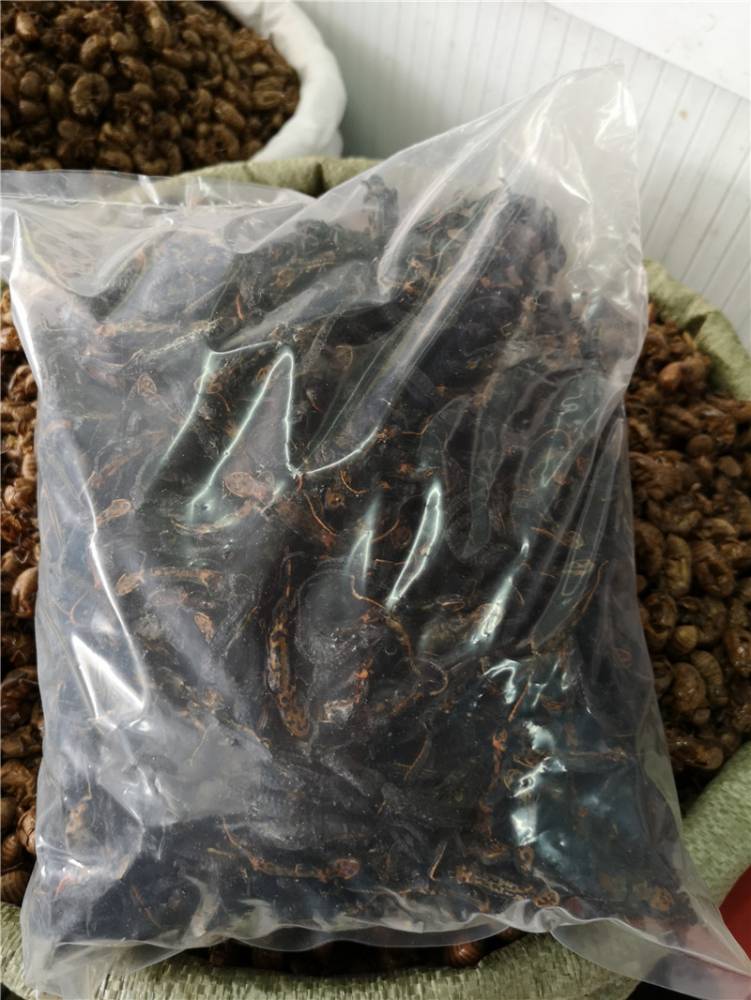 万年青根哪里购买万年青根功效与作用万年青根价格多少