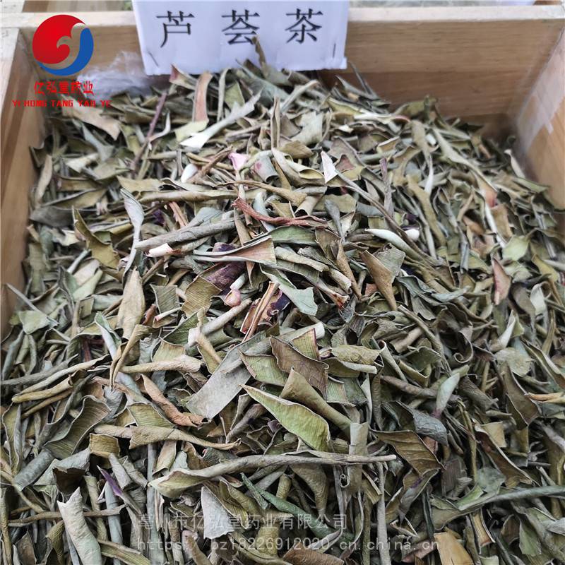 野生芦荟中药材芦荟品质可靠