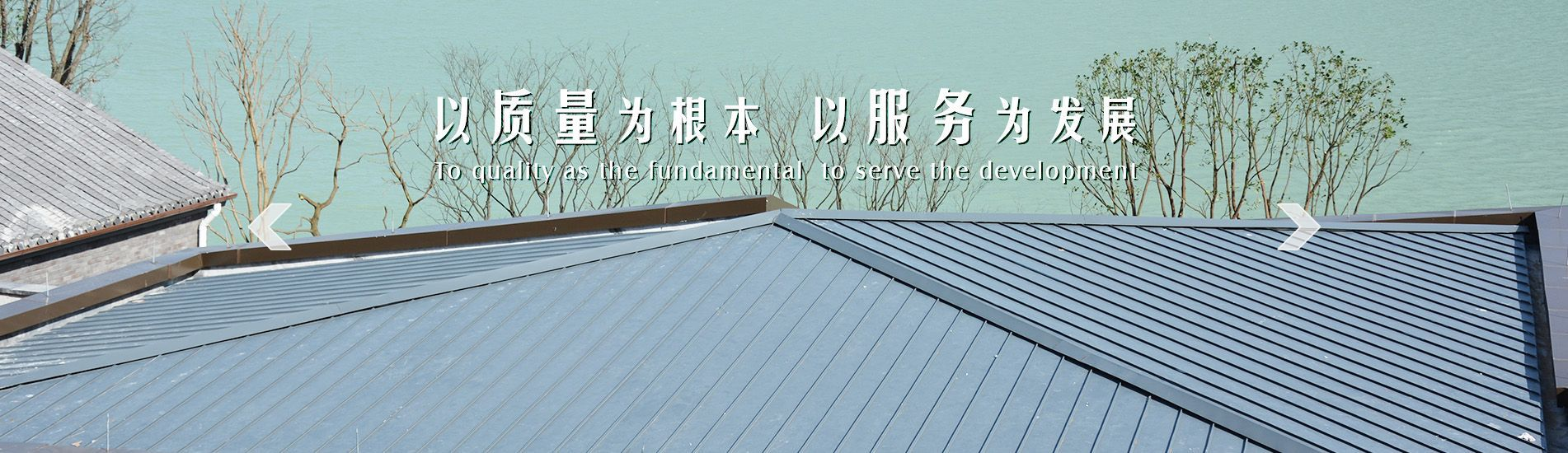 㽭彨޹˾