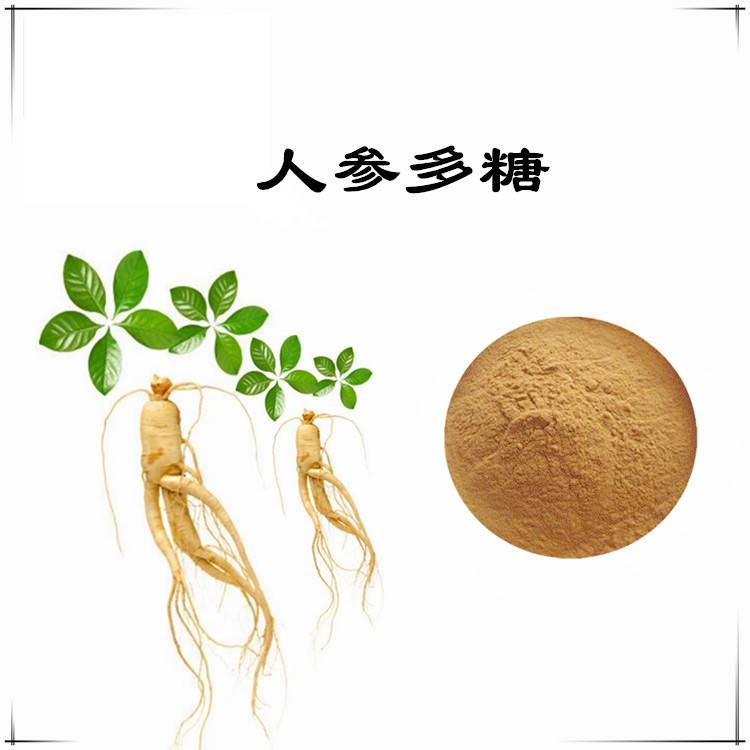 人参多糖3050人参提取物101人参皂甙人参多肽人参速溶粉1公斤起订包