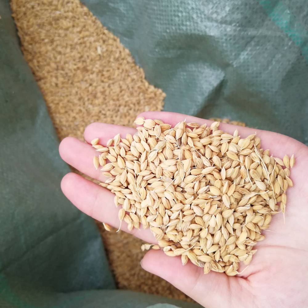 焦作市黄豆去皮碾米机家庭用小型水稻嗑皮机商用谷子脱皮碾米机